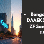 Bongo Capital DAAEK5025BTO9ZF San Antonio TX US