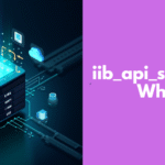 iib_api_server.exe What Is